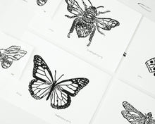 Load image into Gallery viewer, The Butterfly
