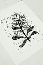 Load image into Gallery viewer, Indian Paintbrush Lino Print
