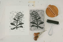 Load image into Gallery viewer, Indian Paintbrush Lino Print
